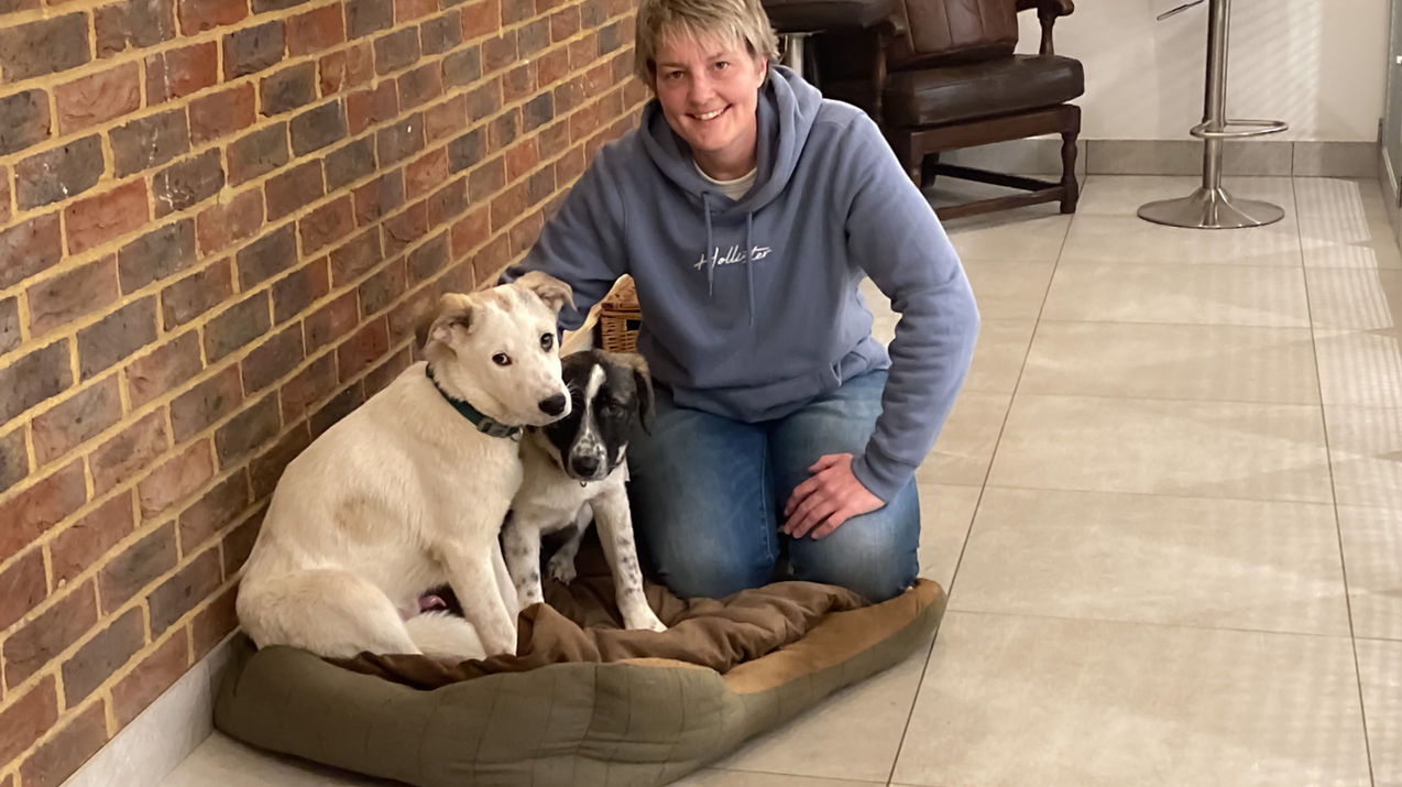 Puppy Training - The Basics